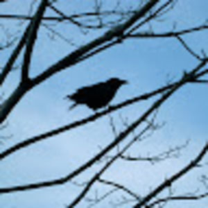 Meet your Posher, Shawna